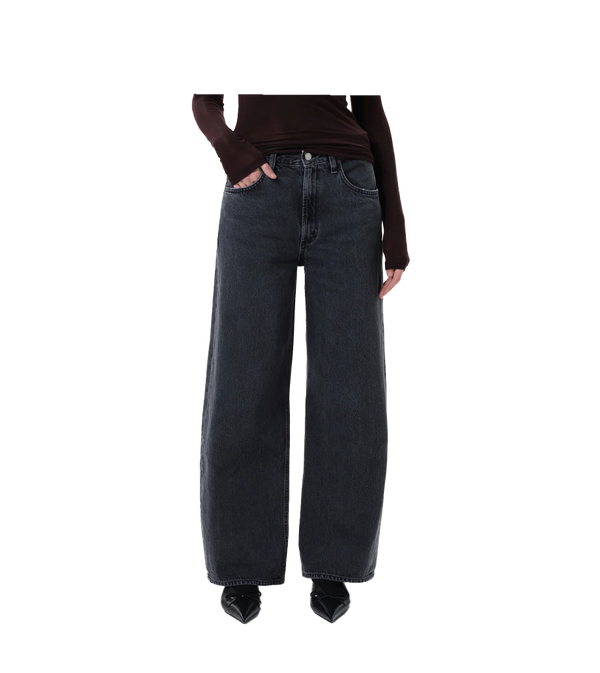 Agolde Low Curve Jeans