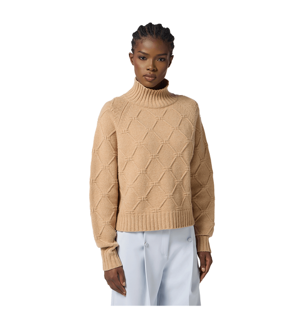 Elisabetta Franchi Trui